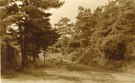 Historic view of Hook Heath road